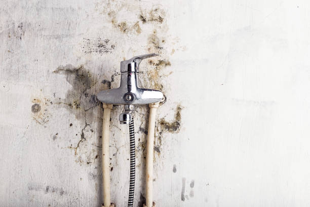 Home Mold Removal in Leakesville, MS