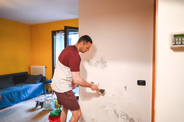 Best Mold Inspection  in Leakesville, MS